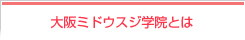 大阪ミドウスジ学院とは