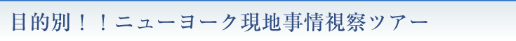 目的別！！ニューヨーク現地事情視察ツアー